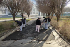 依法依规开展食物